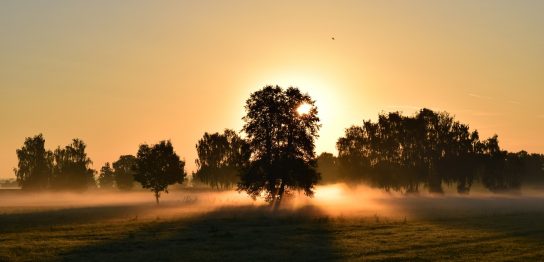 英語で何て言う？「～ばかり」に関する英語を学ぼう！