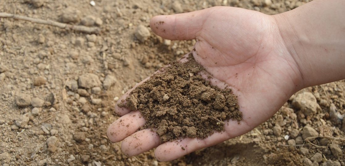 土のことを英語で何と言いますか?