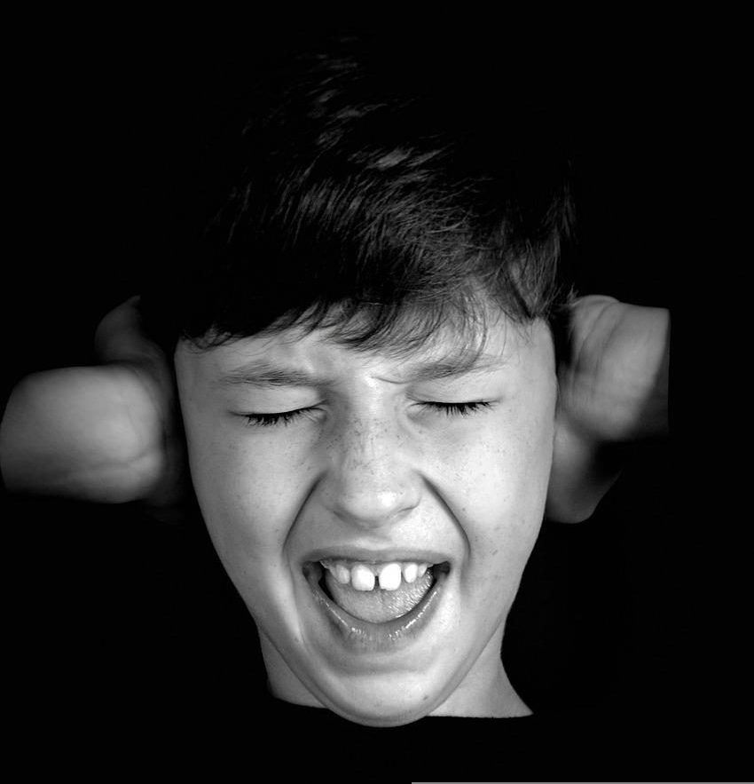「うるさい!」ってnoisy?とloud?英語でいうには?「味にうるさい人」も解説| Kimini英会話