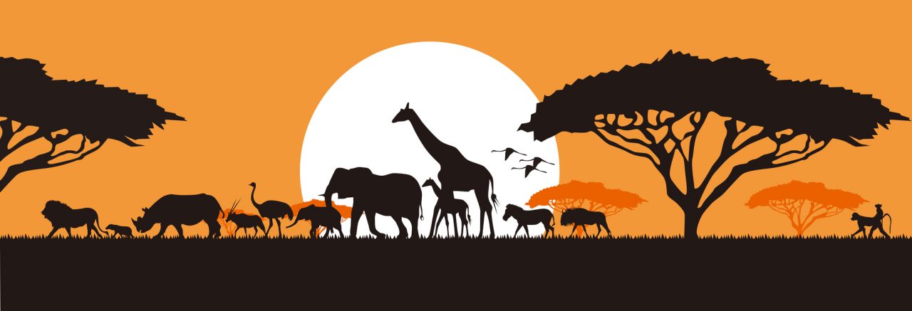「絶滅危惧種」は英語で何て言う？種類や関連語も紹介| Kimini英会話